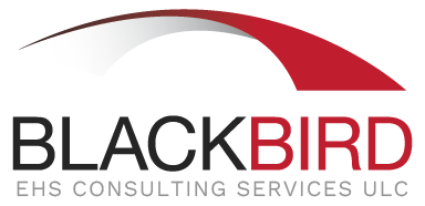 Blackbird Logo