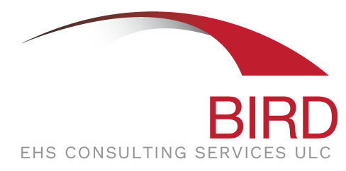 Blackbird Logo (for dark backgrounds)